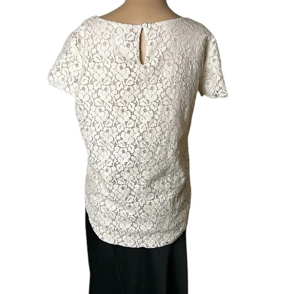 Floral White ,off white,lace sheer top ,with pink underlay, Ariztia Talula, - Picture 7 of 17